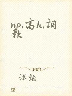 np,高h,调教