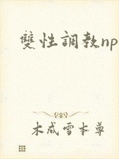 双性调教np文