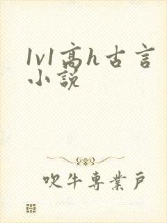 1v1高h古言小说