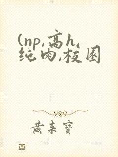 (np,高h,纯肉,校园