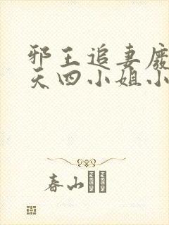 邪王追妻废材逆天四小姐小说下载