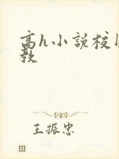 高h小说校园调教封面