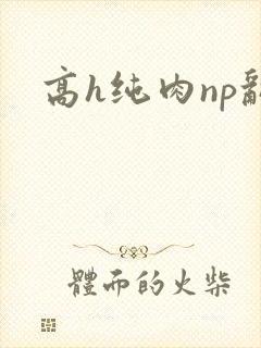 高h纯肉np乱