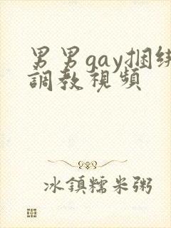 男男gay捆绑调教视频封面