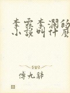 李霖李澜的官场小说叫什么封面