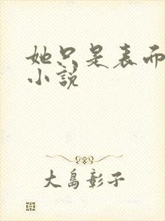 她只是表面清纯小说