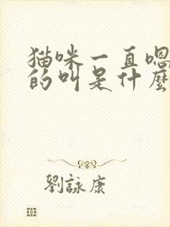 猫咪一直嗯嗯嗯的叫是什么意思