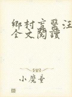 乡村盲医汪金水全文阅读封面