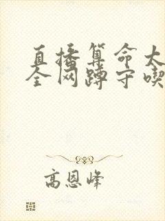 书籍封面