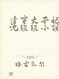 清穿太子妃康熙沈皎皎小说4
