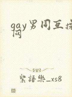 gay男同互操网