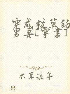 穿成校草的炮灰男妻[穿书]封面