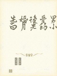 先婚后爱男主有白月光的小说封面