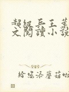 超级兵王叶谦全文阅读小说