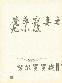 魔尊宠妻之至尊九小姐