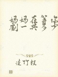 妈妈在等你电视剧一共多少集
