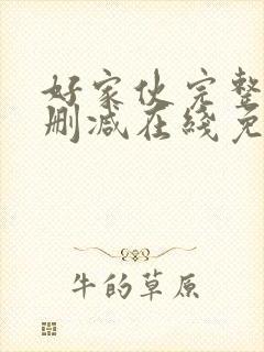 好家伙完整版未删减在线免费观看