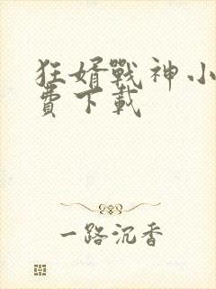 狂婿战神小说免费下载