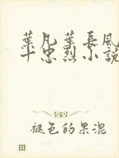 叶凡叶长风一门十忠烈小说名字封面