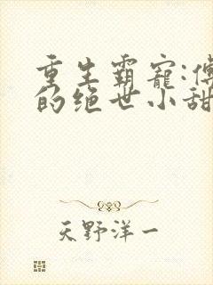 重生霸宠:傅少的绝世小甜妻小说