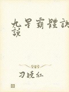 九星霸体诀+小说