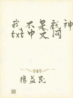 我不是戏神小说txt中文网封面