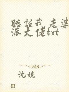 听说我老婆是反派大佬txt封面