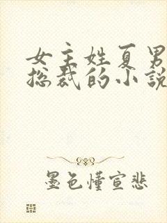 女主姓夏男主是总裁的小说