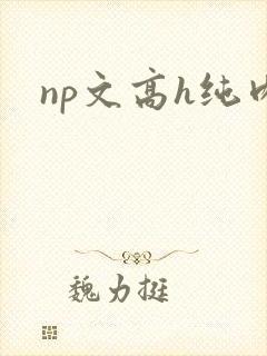 np文高h纯肉