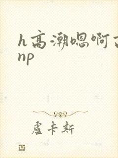 h高潮嗯啊高hnp
