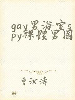 gay男浴室spy裸体男国产封面