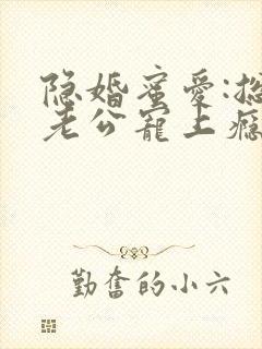 隐婚蜜爱:总裁老公宠上瘾封面