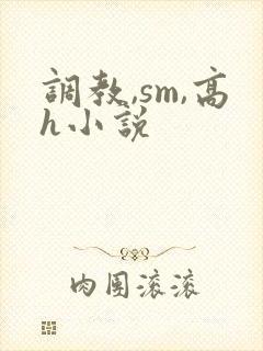 调教,sm,高h小说