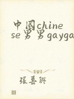 中国chinese男男gaygay封面