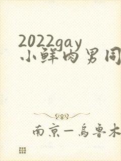 2022gay小鲜肉男同封面