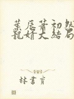 叶辰萧初然上门龙婿大结局封面