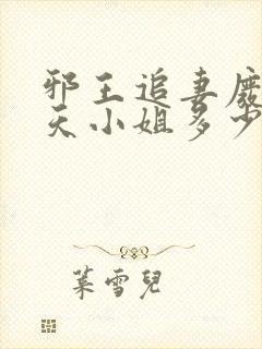 邪王追妻废材逆天小姐多少字