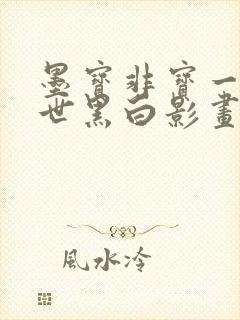 墨宝非宝一生一世黑白影画封面
