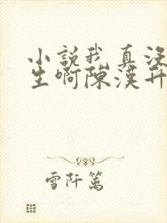 小说我真没想重生啊陈汉升