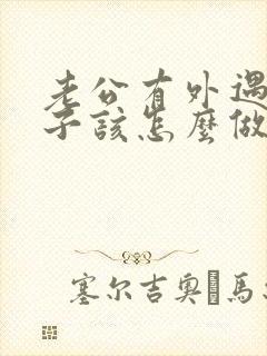 老公有外遇了妻子该怎么做封面