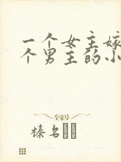 一个女主嫁给多个男主的小说