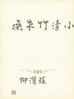 操朱竹清小说