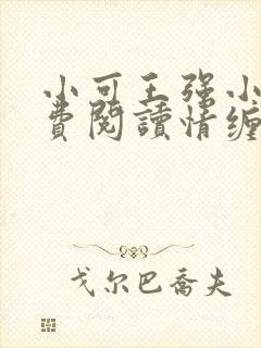 小可王强小说免费阅读情缠父女封面