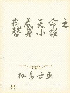 我成天命之子的替身小说