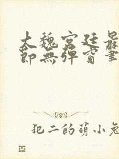 大魏宫廷最新章节无弹窗笔趣阁封面