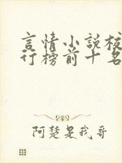 言情小说校园排行榜前十名封面