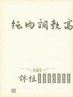 纯肉调教高h文