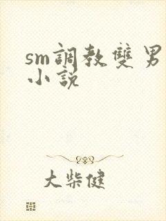 sm调教双男主小说