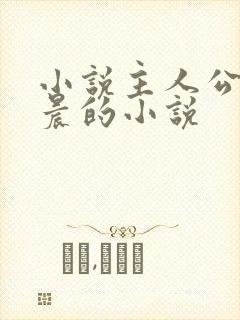 小说主人公叫林晨的小说封面