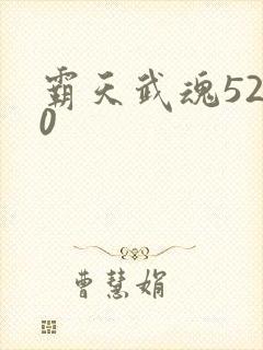 霸天武魂5200